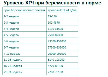 Анализ ХГЧ при беременности